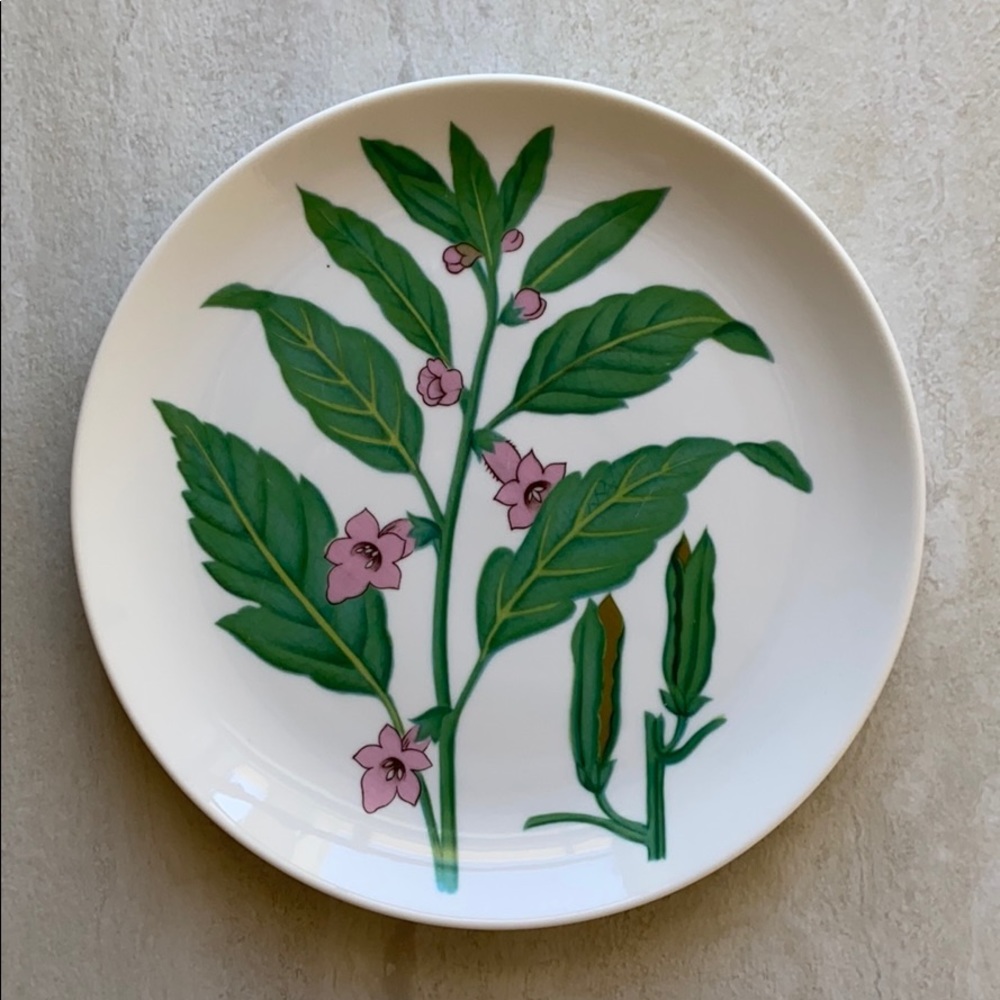 Vintage Horchow Botanical Herb and Seeds plates - Picture 5 of 8